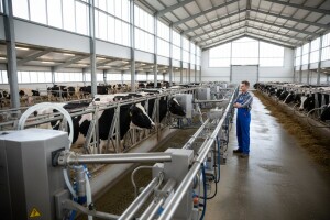 Usvojen Plan korišćenja podsticaja u poljoprivredi