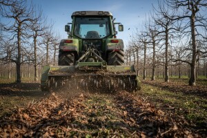 Utjecaj prezimjelog inokuluma na pojavu krastavosti