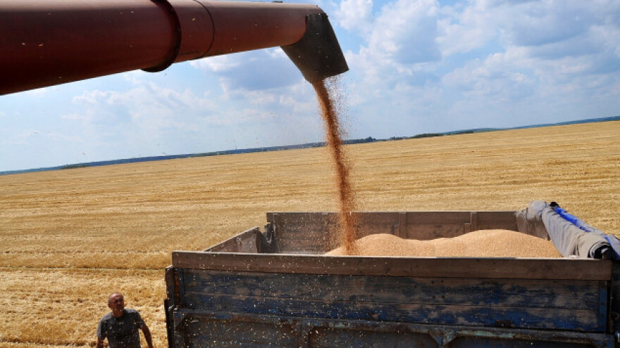 Egipatska potražnja diže cijenu ruske pšenice