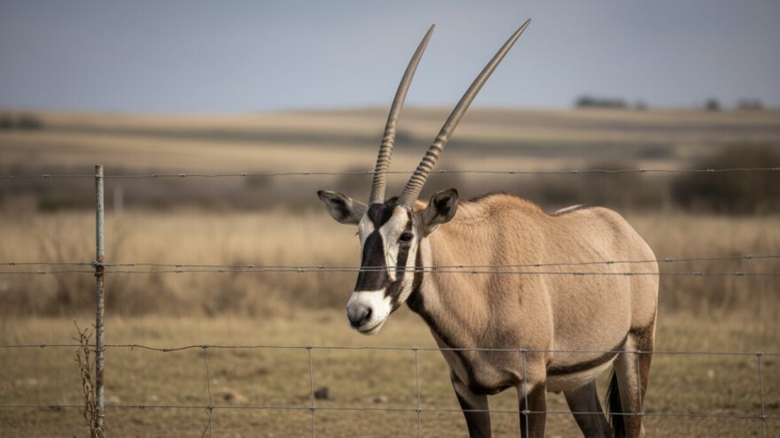 Utvrđena bolest plavog jezika