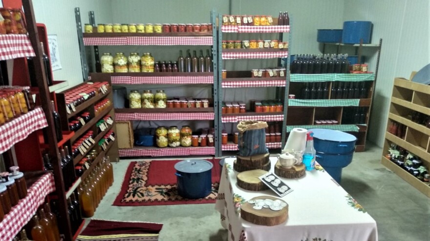 Žig Čuvarkuća: Domaći resursi, ali može i strani kapital