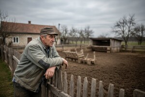 Uvezli smo hrane za 2,5 mlrd. USD i srušili rekord sa svinjetinom