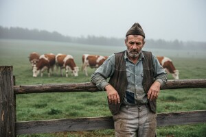 Uvoz cvjeta a domaće meso u bescijenje