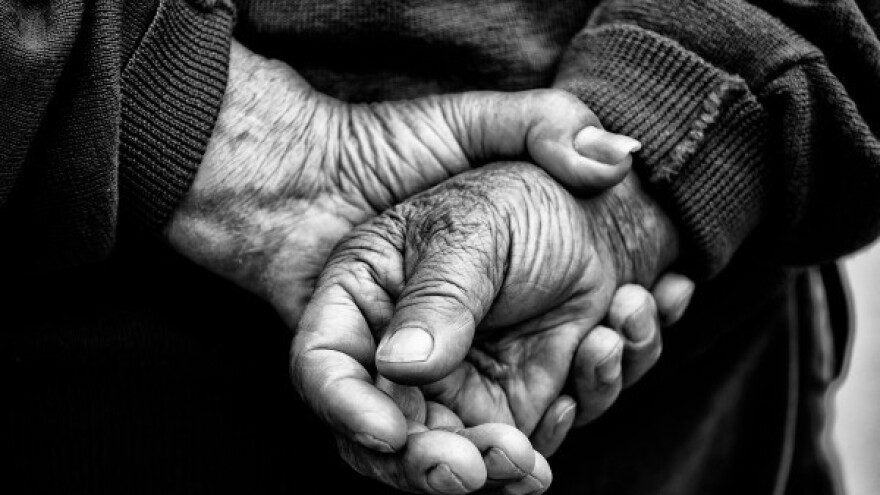 Izvozimo jeftinu sirovinu - uvozimo skupe proizvode!