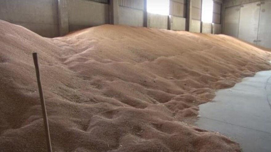 Raste uvoz kruha i tjestenine