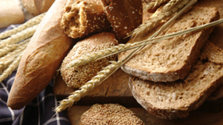 Хлеб растительного происхождения. Дунапан Экстра улучшитель. Хлеб со злаками. Дунапан улучшитель хлебопекарный. Текстура хлеба.