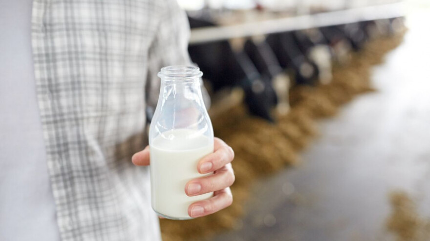 Domaći mljekari jačaju - smanjen uvoz mlijeka