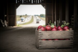 Uvozimo voća za 900 milijuna kuna