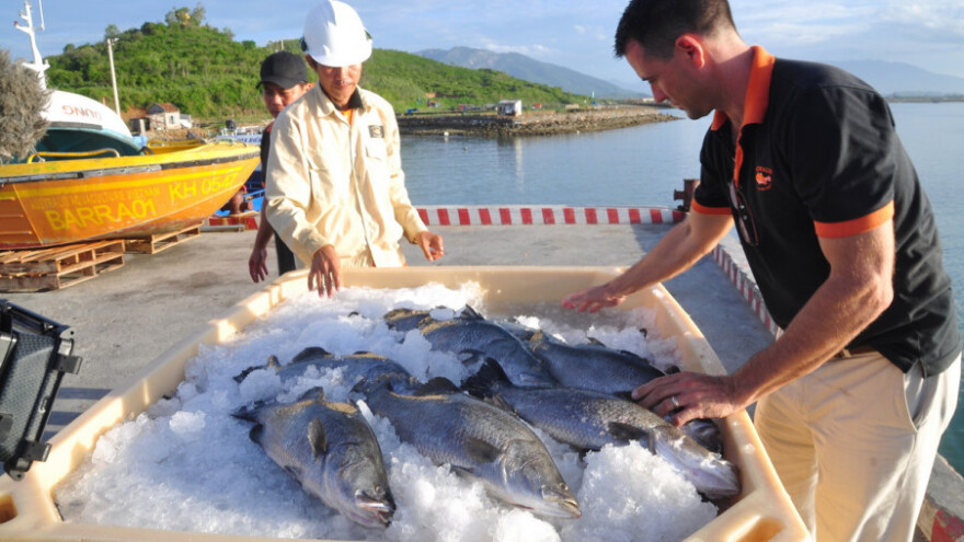 Raste izvoz u EU - što je sa domaćim tržištem?