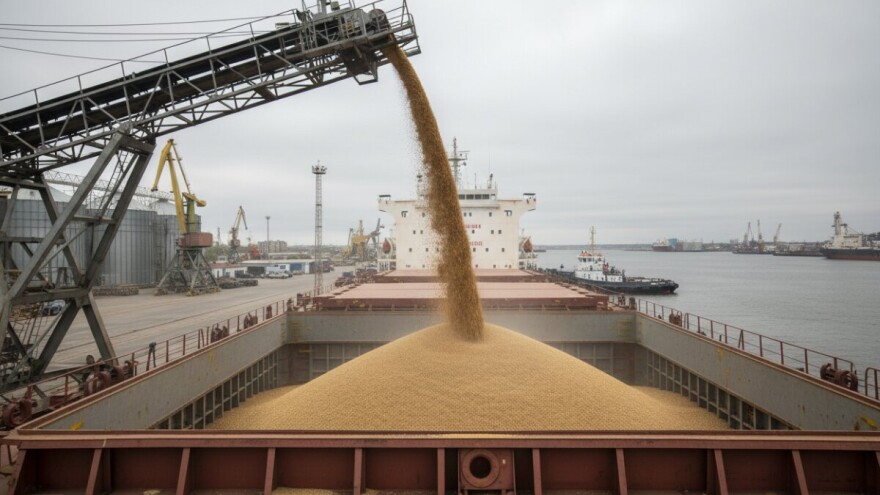 Uvoznici dižu cijene ruskoj pšenici