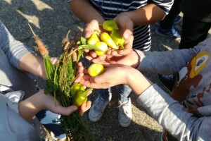 Mihael (8): U vrtu je stoput zabavnije nego igrati igrice, ne znam što mi je bilo dosad