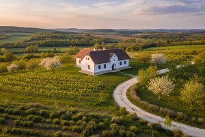 Uz pomoć Županije do tradicijske baštine Baranje