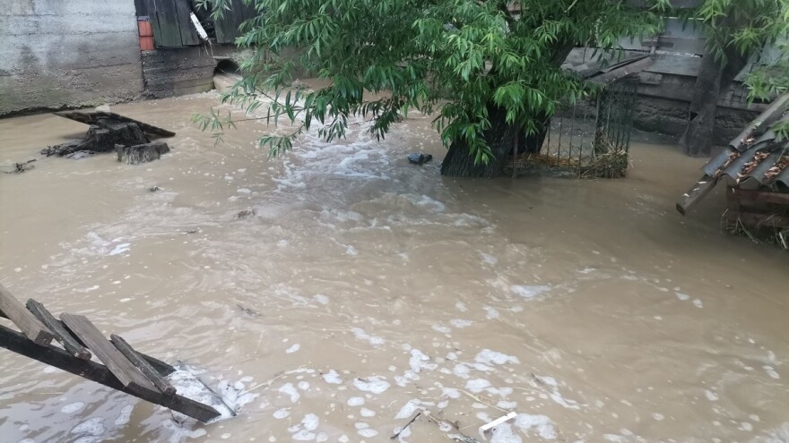 Olujno nevrijeme poharalo Slavoniju - nazimica pobacila, stradali tek izleženi guščići, pilići...