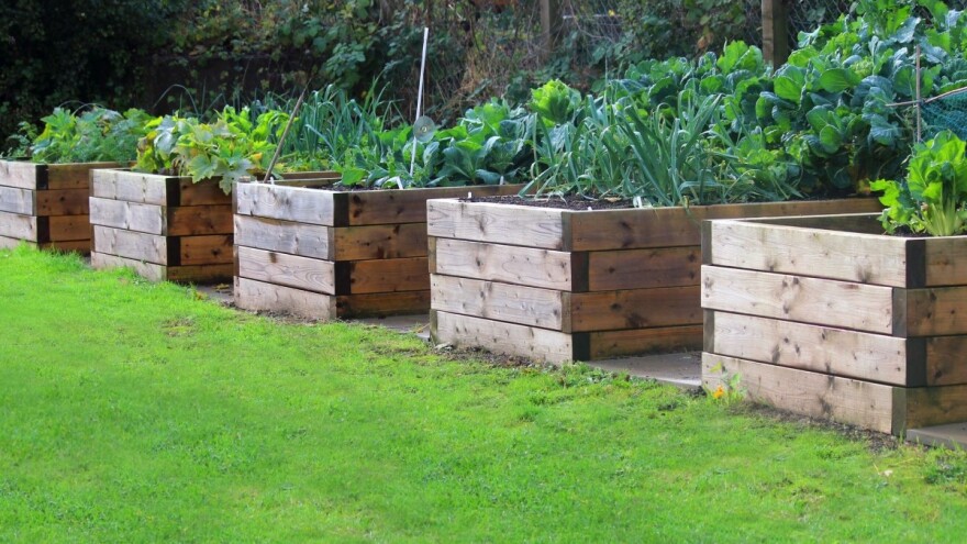 Tri laka načina da uzdignete leje za uzgoj biljaka