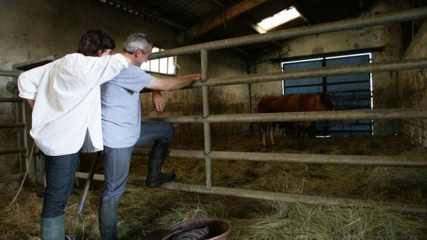 Ne gubimo samo krave - nego i čitava sela!