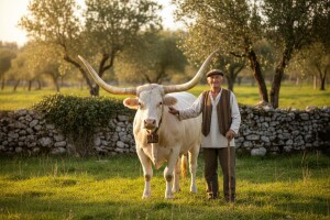 Uzgajivači istarskog goveda kod predsjednika RH Ive Josipovića