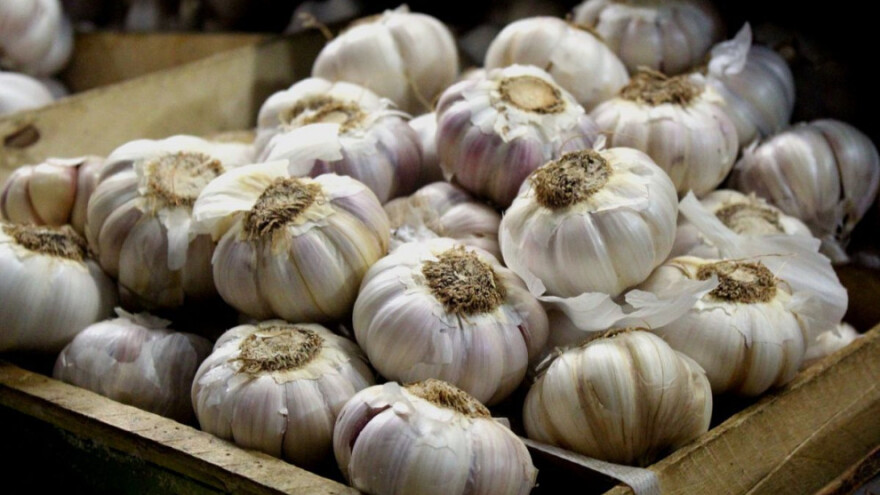 Sve što trebate znati o uzgoju češnjaka