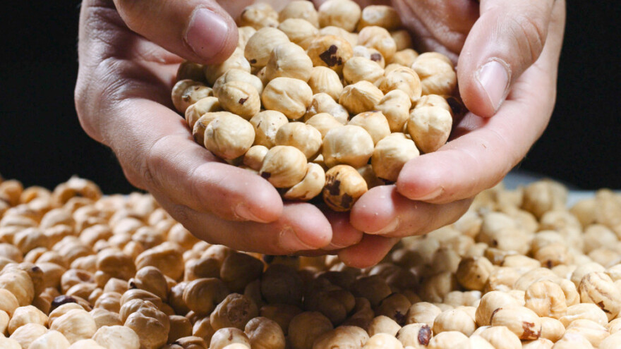 U eko proizvodnji s 592 stabla lješnjaka, plan je i proširenje