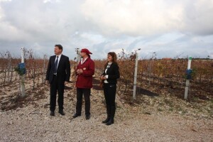 Korištenje organskog otpada u proizvodnji vina