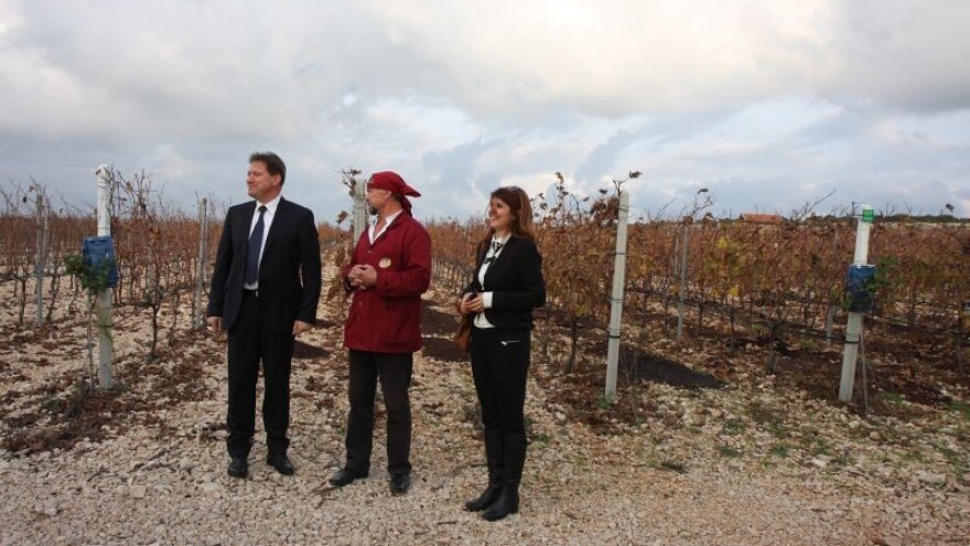 Korištenje organskog otpada u proizvodnji vina