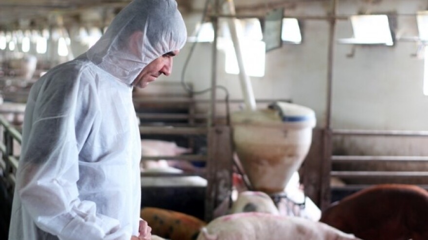 Hoće li meso u budućnosti postati luksuz?