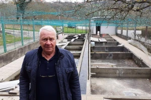 Teskeredžić: Ne možete doći u inspekciju ribnjaka, a da ne znate kako koja riba izgleda