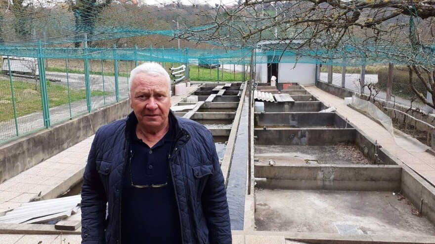 Teskeredžić: Ne možete doći u inspekciju ribnjaka, a da ne znate kako koja riba izgleda