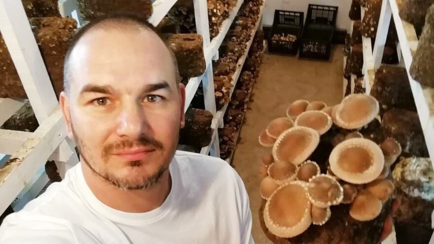 Marko Rajić: Med sa gljivama ljudi pretežno kupuju iz zdravstvenih razloga