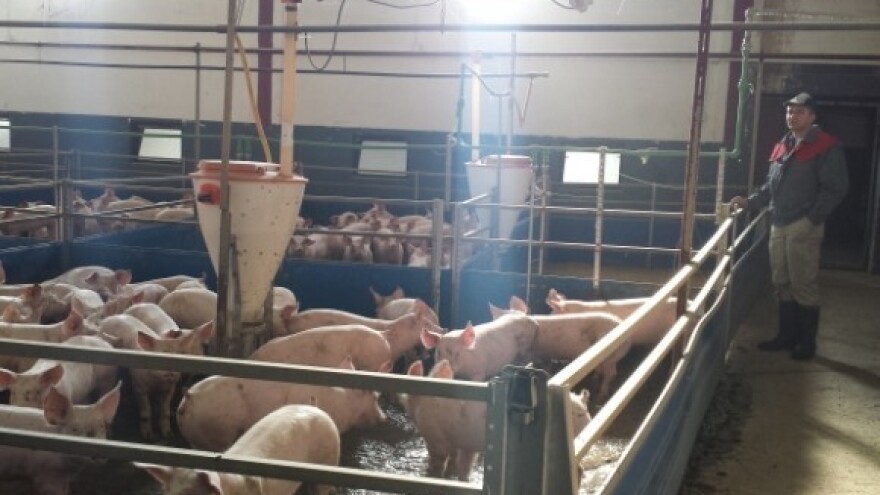 Milijun eura u proizvodnju kulena