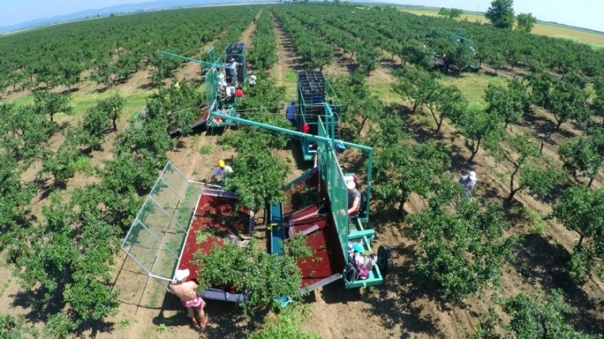 Jakšić dobiva tvornicu za otkup i preradu voća