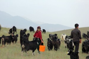 Od 2012. izgubljeno 9.000 radnih mjesta u agraru