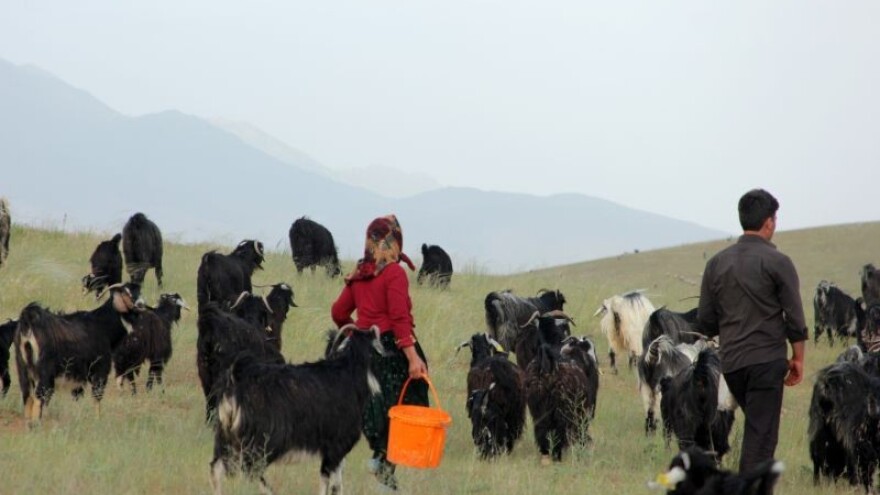 Od 2012. izgubljeno 9.000 radnih mjesta u agraru