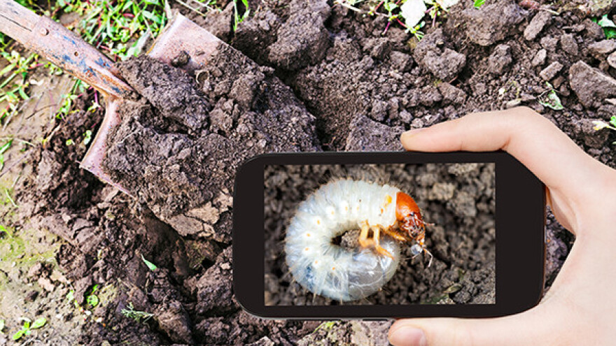 Analizom zemljišta do racionalne primene đubriva