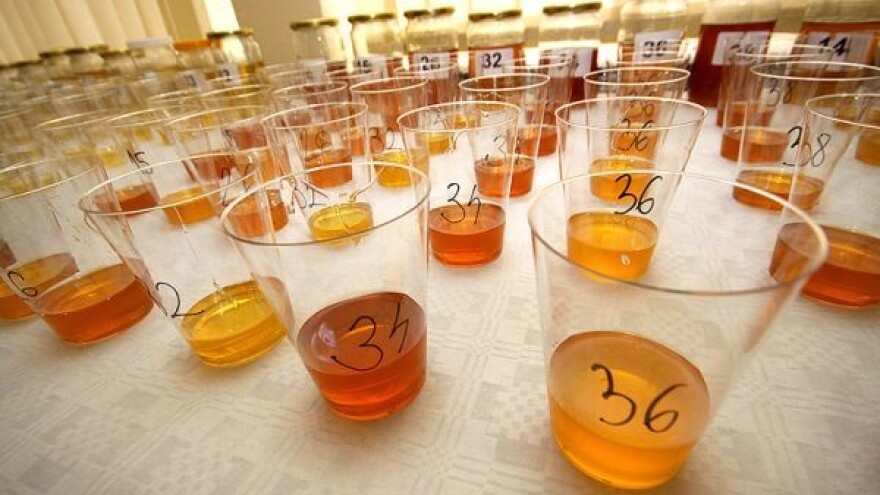 Rekordan broj uzoraka na ocjenjivanju meda!