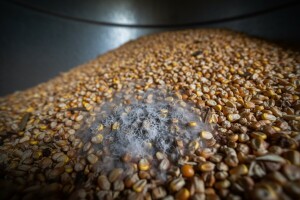 Uzrok otrova u mlijeku je - štednja