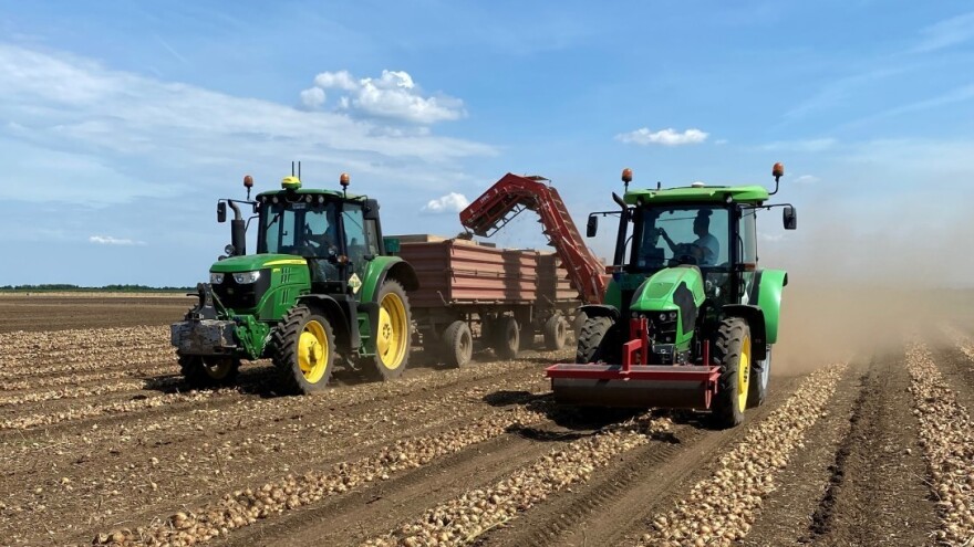 Crni luk: Kako izabrati mehanizaciju na osnovu setvenih površina?