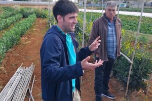 Agroklub u Valenciji: Čime se bave tamošnji poljoprivrednici i što im zadaje glavobolju?