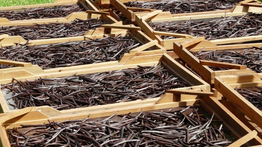 Vanila skuplja od srebra ili kako klima utiče na industriju sladoleda