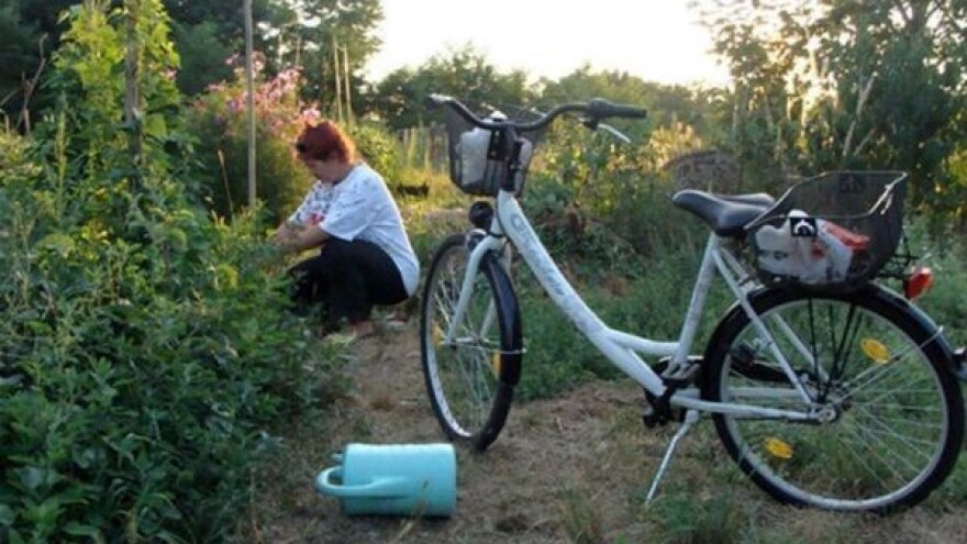 Što koči proizvođače eko sjemena?