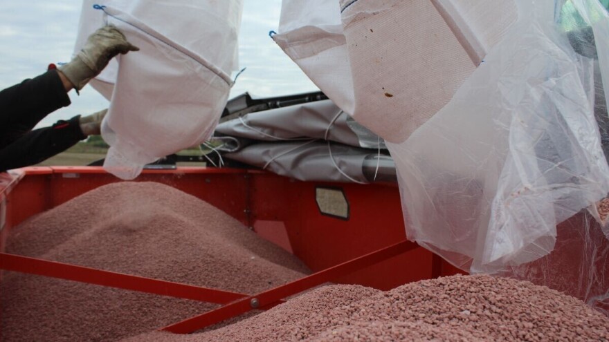 Koliko još možemo računati na prirodne zalihe fosfora i kalijuma, za biljke veoma bitnih đubriva?