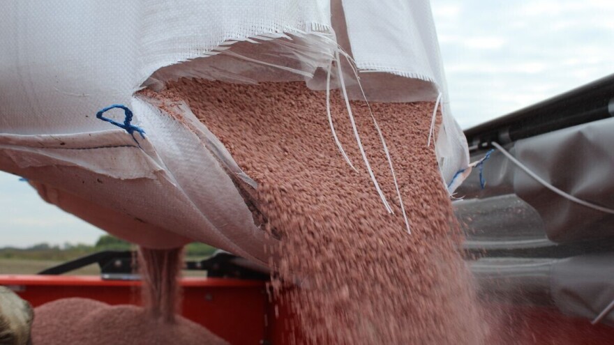 Tržište gnojiva u krizi: Što čeka poljoprivrednike ove godine?