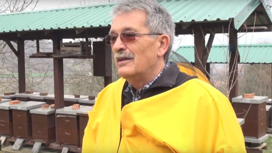 Ljetni prekid legla kao efikasna zaštita protiv varoe!