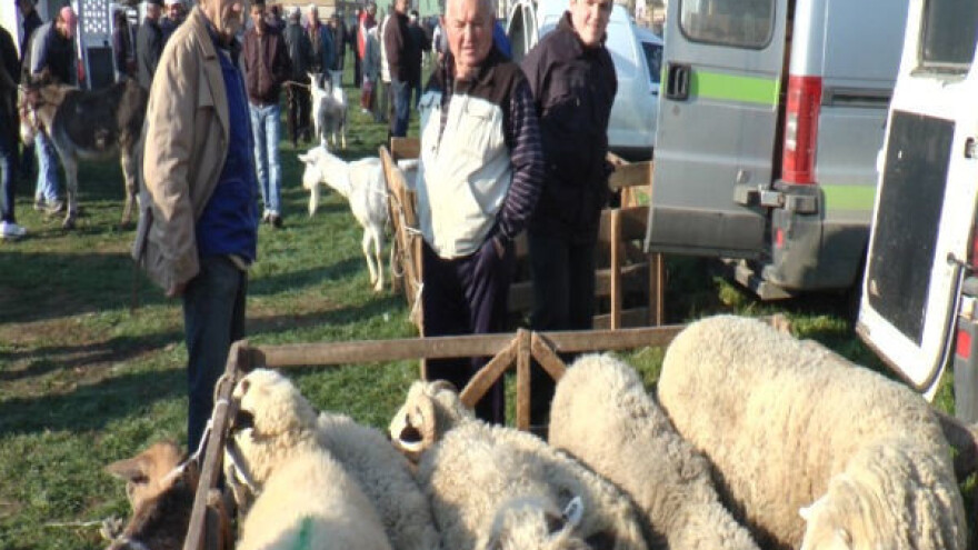 Prasad nema ko da kupi!