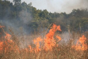 Ljeto bi moglo biti pakleno: Ne palite vatru u prirodi i ne radite dodatni posao vatrogascima