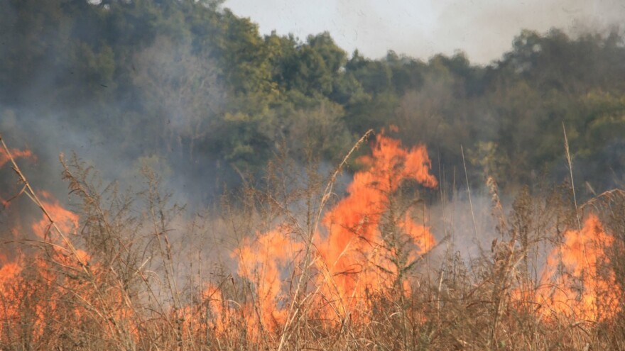 Ljeto bi moglo biti pakleno: Ne palite vatru u prirodi i ne radite dodatni posao vatrogascima