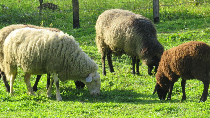 Stiže promjena vremena nakon temperaturnih rekorda?