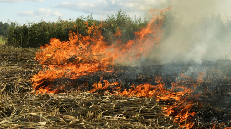 Ugušio se dok je palio korov na njivi