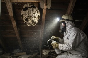 Vatrogasni odred protiv stršljenova