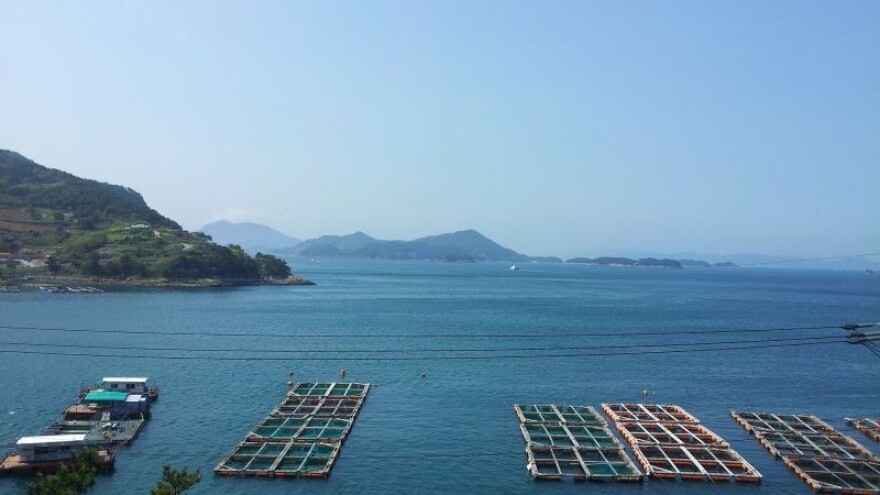 HGK daje vaučere za ribarstvo