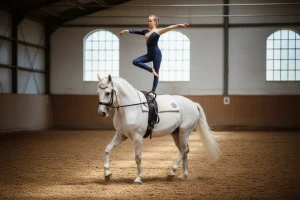 Vaulting horse: Nevjerojatan sklad konja i gimnastičarki